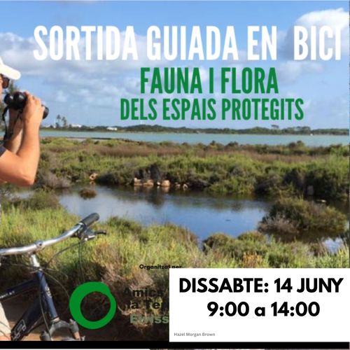 RUTA GUIADA EN BICI PER SES SALINES DE FORMENTERA!