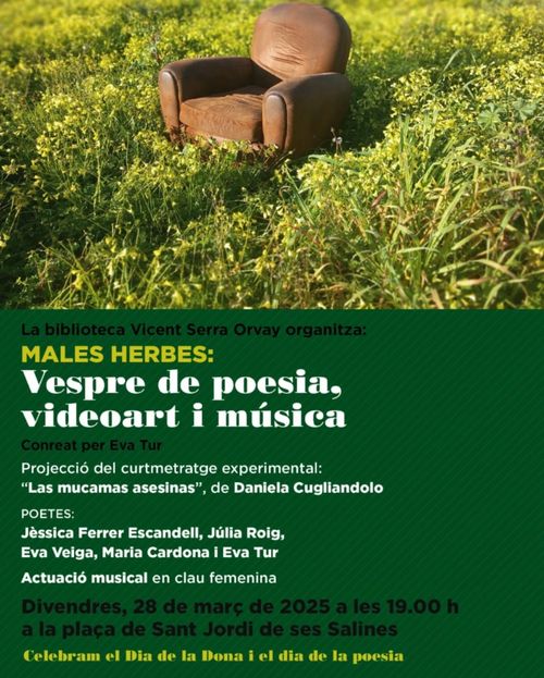 Males herbes: Música, videoart i poesia 