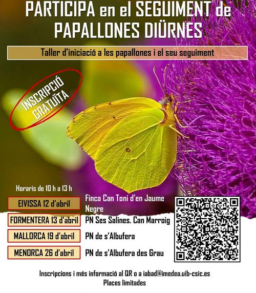Seguiment de papallones